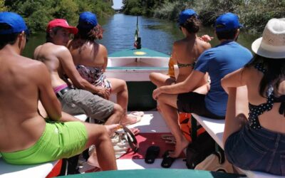 Ciane Nature Reserve boat tour